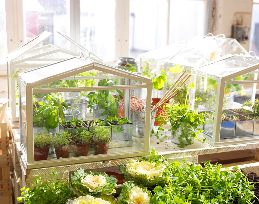 ikea-socker-indoor-greenhouse-1_副本.jpg